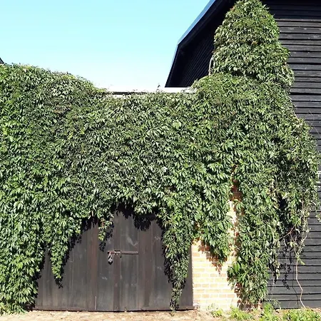 Ein Bett Im Kornfeld - Haus Weitblick - Mit Innenpool Vakantiehuis