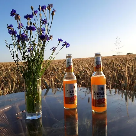 Ein Bett Im Kornfeld - Haus Weitblick - Mit Innenpool Vakantiehuis *