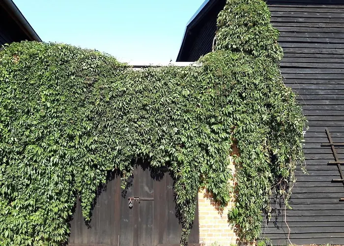 Ein Bett Im Kornfeld - Haus Weitblick - Mit Innenpool Tatil Evi