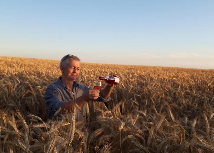Ein Bett Im Kornfeld - Haus Weitblick - Mit Innenpool * Schonfeld (Mecklenburgische Seenplatte)