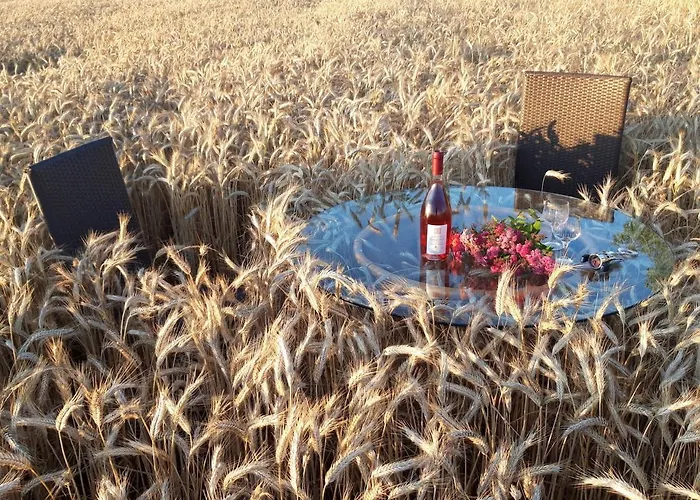 Ein Bett Im Kornfeld - Haus Weitblick - Mit Innenpool Schonfeld (Mecklenburgische Seenplatte)